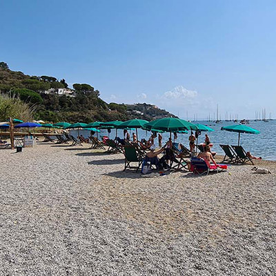 mola dog beach
