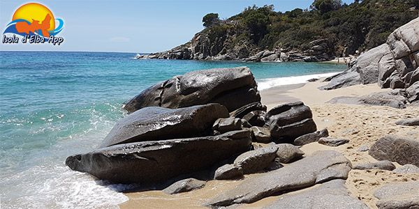 cavoli beach elba island