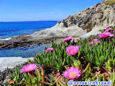 cotoncello beach