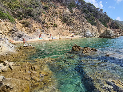 Pinetina Cove