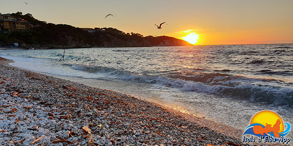 Portoferraio Elba portoferraio elba island