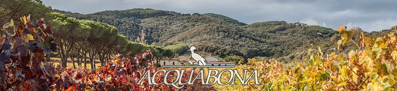 Acquabona Elba winery Elba Island