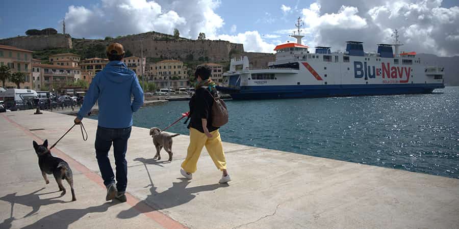 cani imbarco traghetti