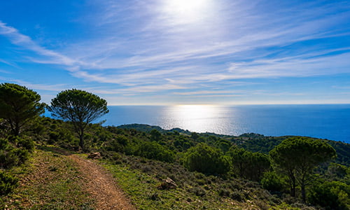 Paesaggio del Monte Calamita Capoliveri Isola d'Elba