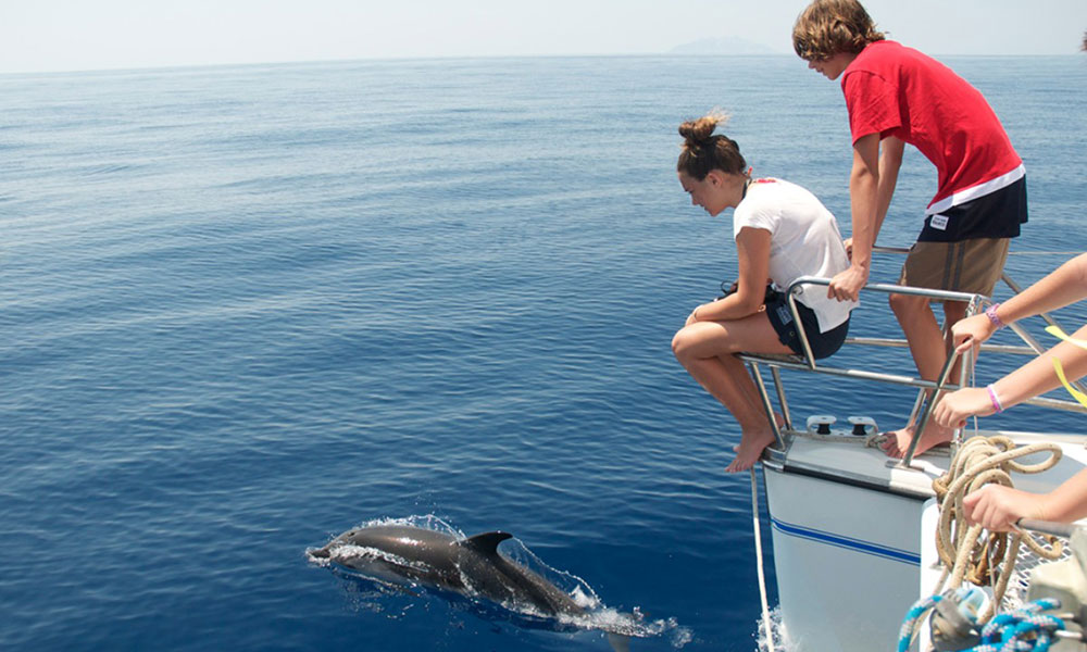 Centro Ricerca Cetacei Isola d'Elba