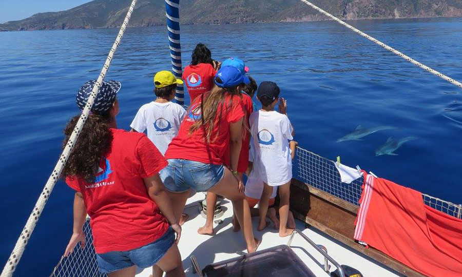 Mare Libero escursioni alla ricerca dei delfini all'Isola d'Elba