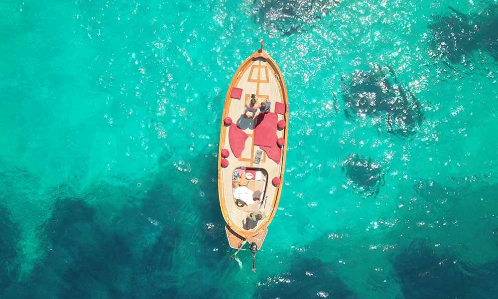 Il Paradiso dei Delfini Isola d'Elba