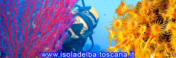 diving isola d'elba