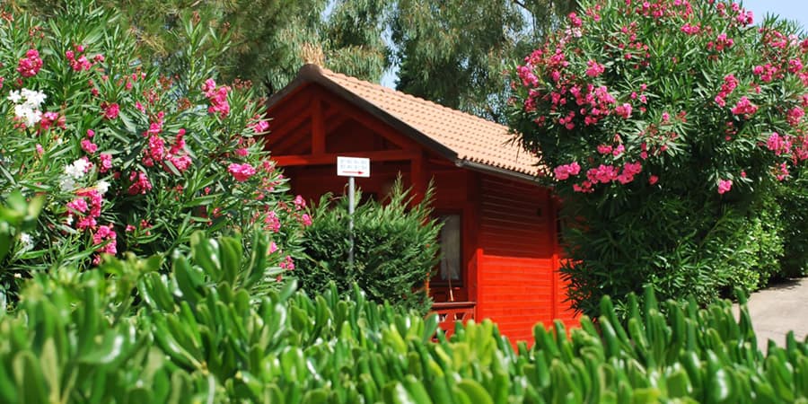 Bungalow Camping Arrighi Bungalow del Camping Arrighi
