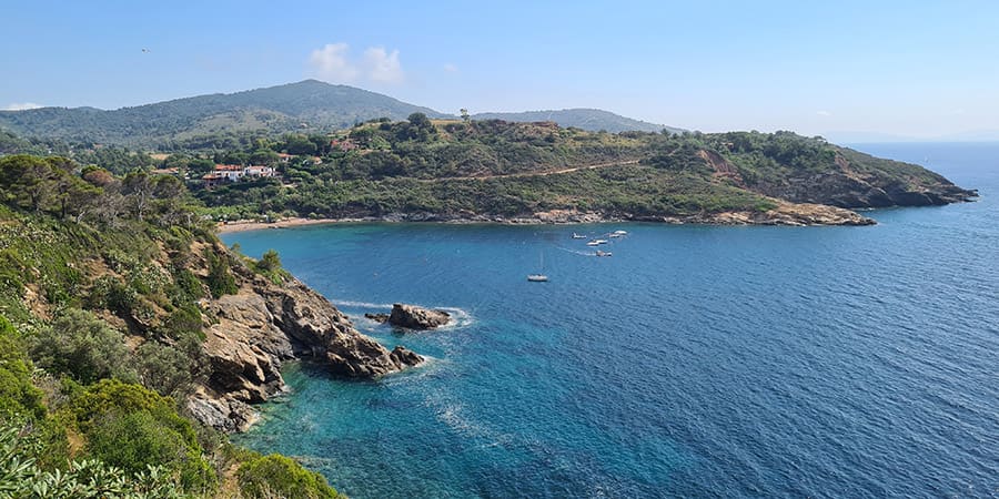 Camping Arrighi immerso nella natura Natura mediterranea del Camping Arrighi