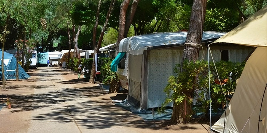 Piazzole Camping Arrighi Piazzole ombreggiate del Camping Arrighi