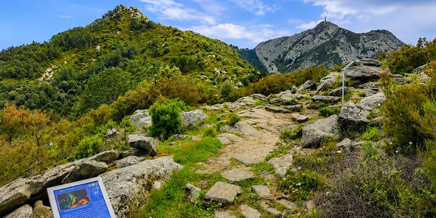 Monte Perone e natura di Campo nell'Elba Monte Perone e sentieri nel territorio di Campo nell'Elba Isola d'Elba
