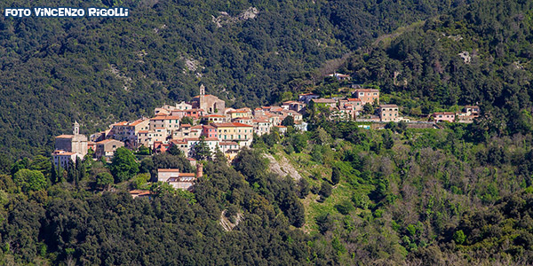 Poggio isola d'elba