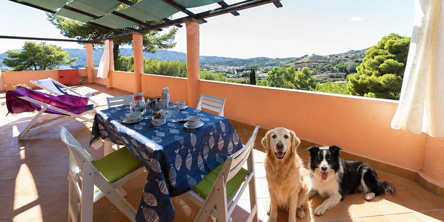 Residence Gavila's pet friendly Residence Gavila's pet friendly a Porto Azzurro con servizi dedicati ai cani